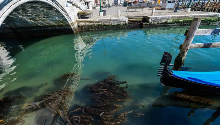 Venetsian vedet ovat nyt häikäisevän kirkkaita
